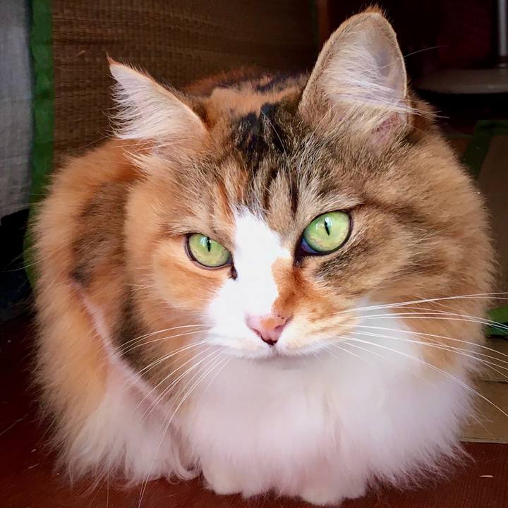 82550bd8 668b 459d b991 cb94a13d0389 1573538123699