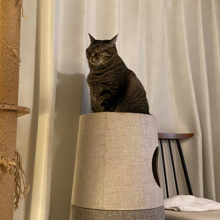 82553db4 79d2 48d4 876d 71c723164324 1706263454857