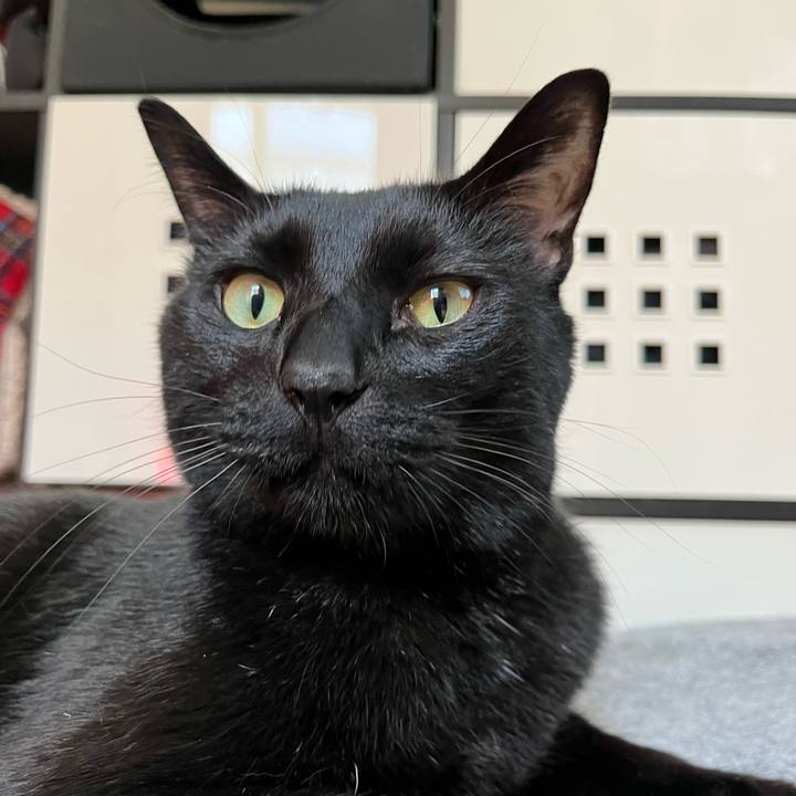 82554840 3455 4a7a adb8 619e92846e8d 1649237196281