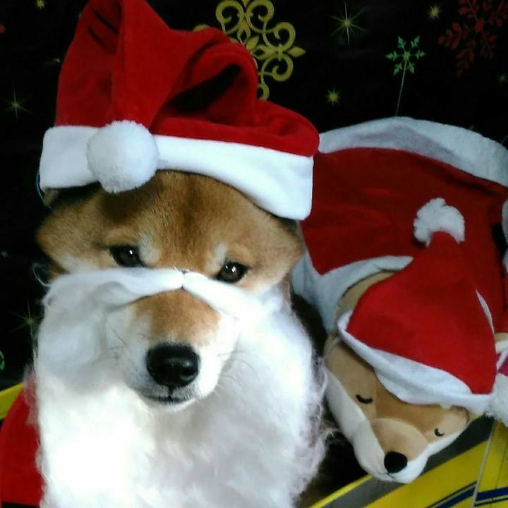 82554fb2 0a65 4e27 aafd 1dc09e60526d 1513953425489