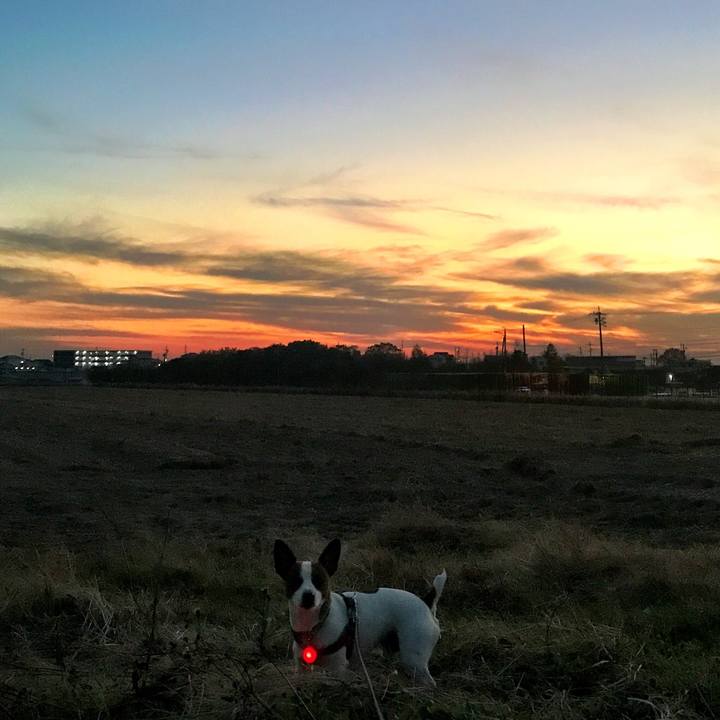 82557f17 dd8c 43b3 90cf d89b42d48a09 1512642022770