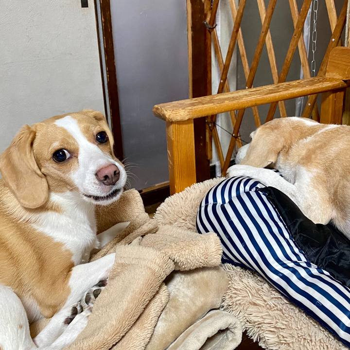 8255aa99 df12 4872 bc5b 230313d7cb9f 1594083378836