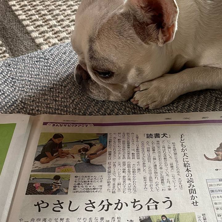 8255e69f 5d71 4f97 8582 acbc491a51fb 1751927910132