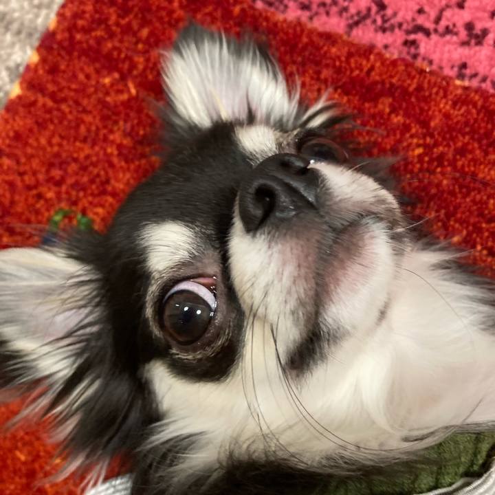 8255ed3e 0a15 4a7c ab3a 8d4ab34bb579 1609255783254