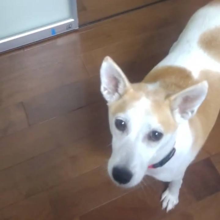 82560347 017f 4b84 bf15 df00d14a2137 1631235799580