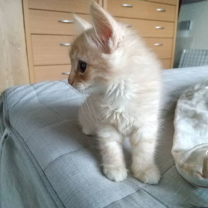 82568a24 d686 443c b4d3 cee72fb60138 1602799579682