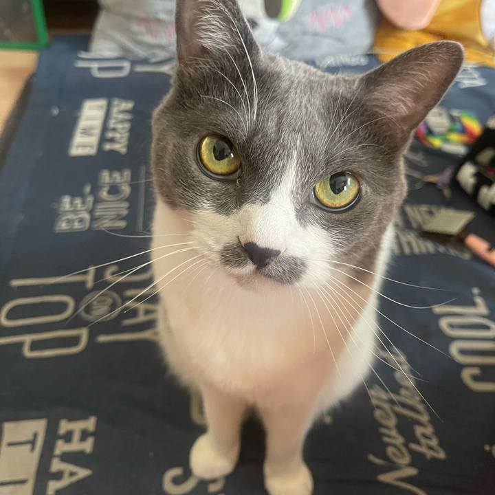 82569257 3c19 4b5a a24f 66b3d08cd5d7 1751156807209