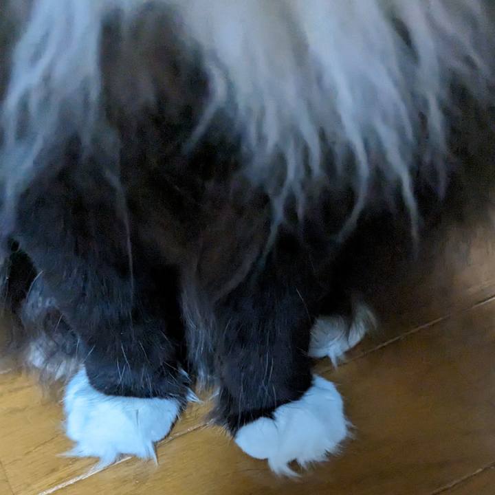 82569a8a aa31 4e4d a345 415e73b17fdb 1701525450652