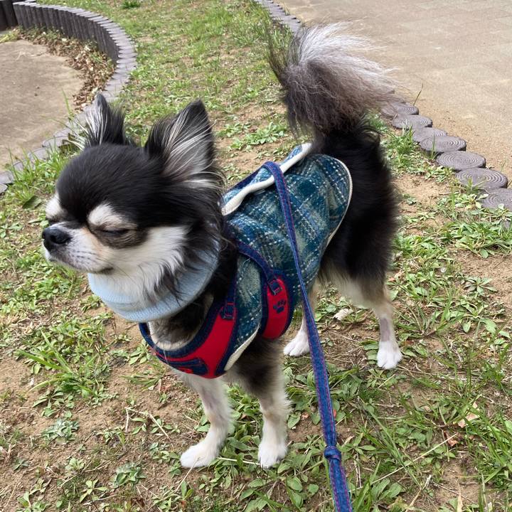 82569b51 95d4 4b73 ad9f 1a3e8bdc4334 1710950142280