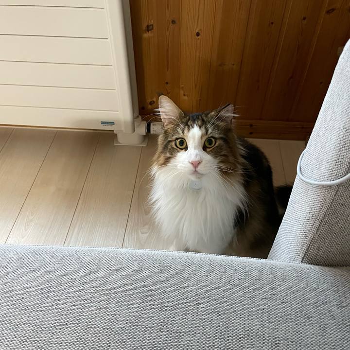 82569cb9 308e 4d54 9750 e0375dbf7304 1657743202683