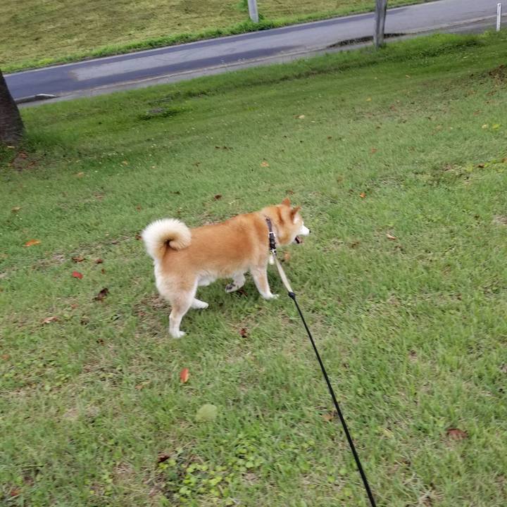 8256ac61 759f 44f7 8749 972a74a79e0a 1658824406360