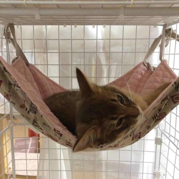 8256e004 43ce 437c 842e a12e331185db 1573981437307