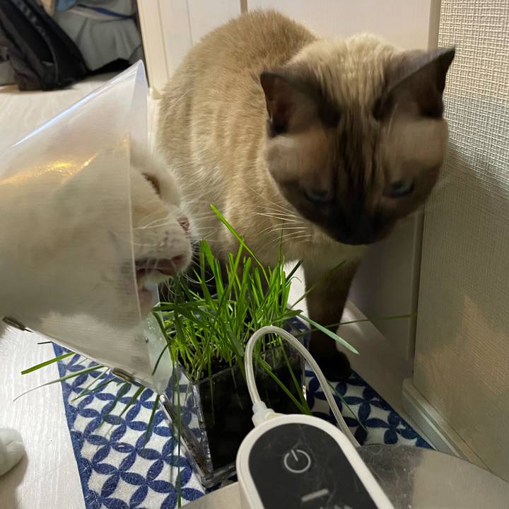 8257068b ee67 4cb3 8d8d 4b2d8ff8e235 1761472872601