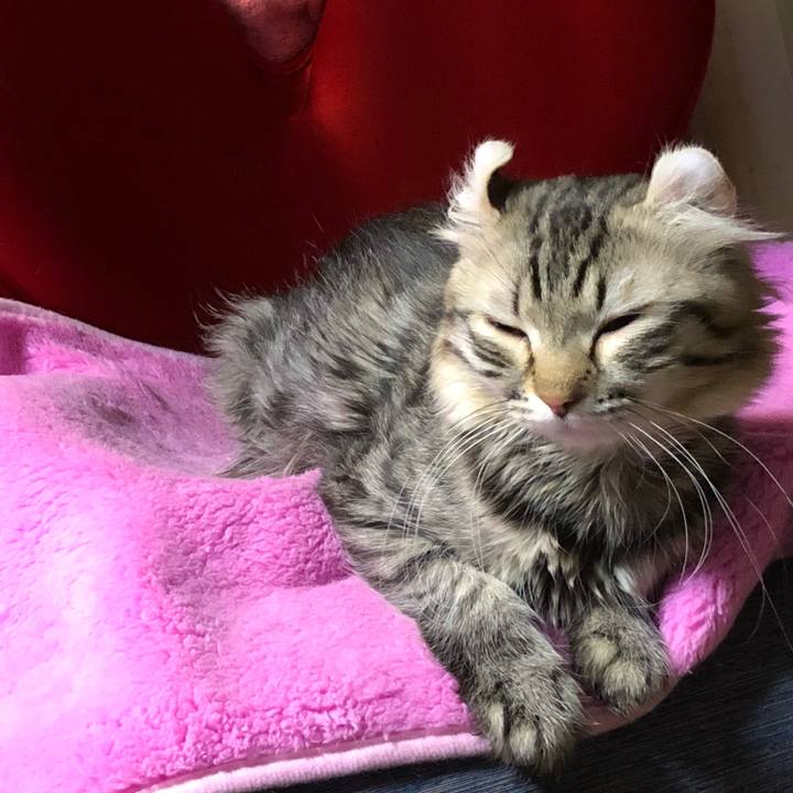 82570904 13f0 44e8 a10e d6e267d4ca9a 1629012906926