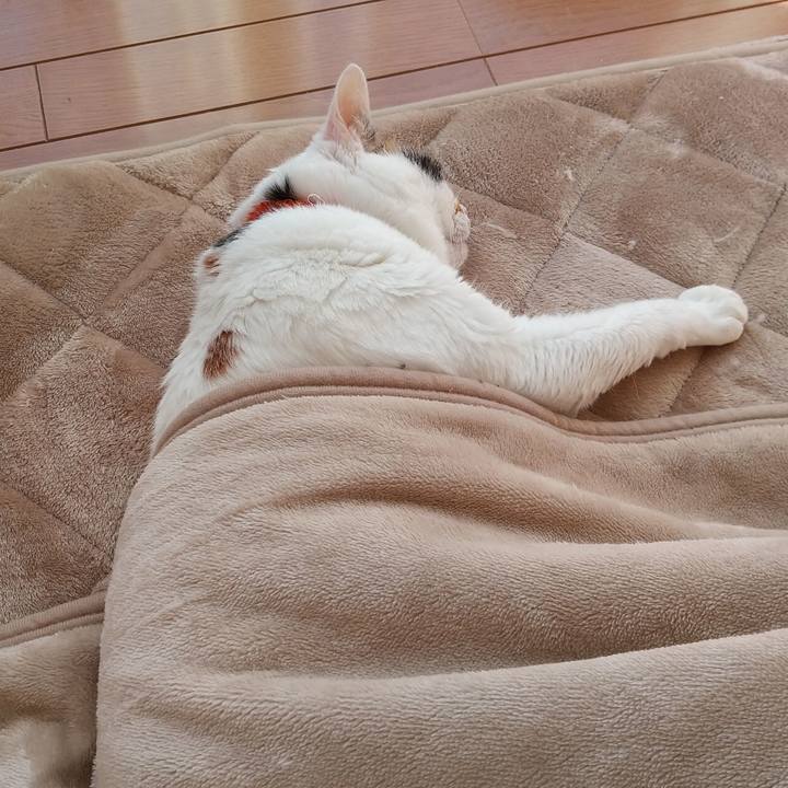 82570fbc 22d2 46e3 a928 4950cc40b6e6 1636155461341