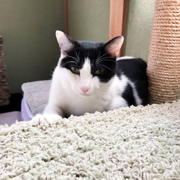 8257151d 26c0 4f45 a731 bdbe0885c235 1510466270975