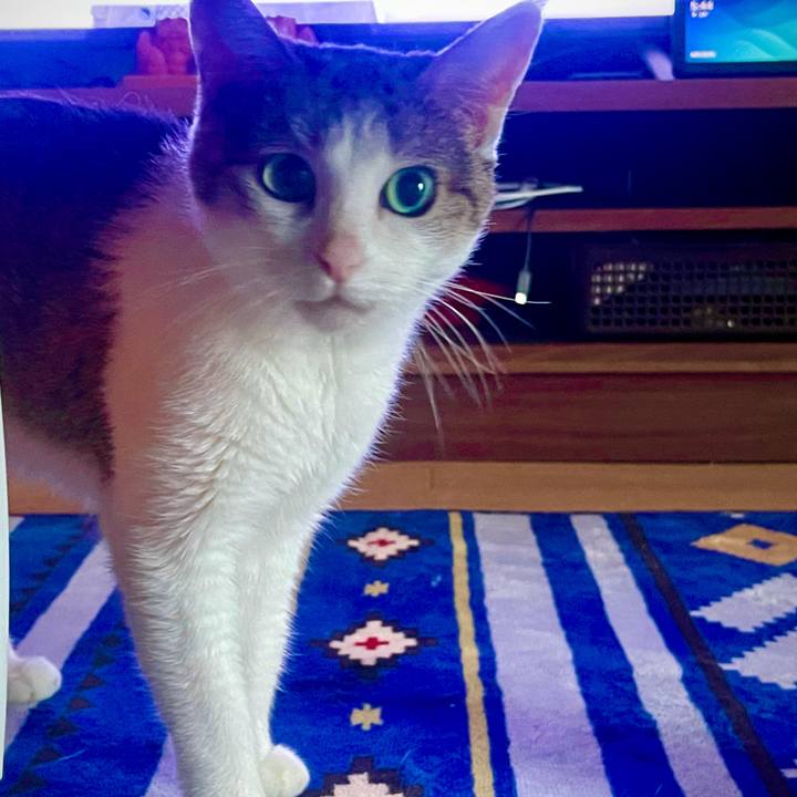 82575ad2 c2de 4806 9873 a9cf636be6b1 1628109941241