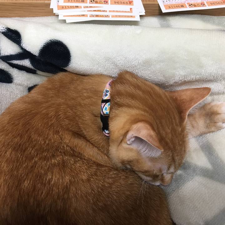 82579a32 85a8 4108 aa64 5560d23bbafa 1546322642617