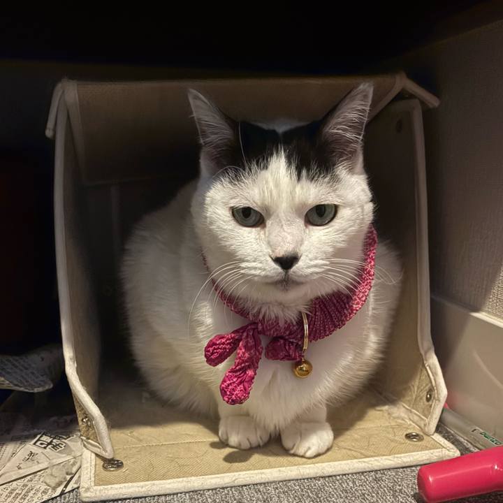 8257bd38 7277 41a1 b084 c0252bd3f7e7 1770284958266