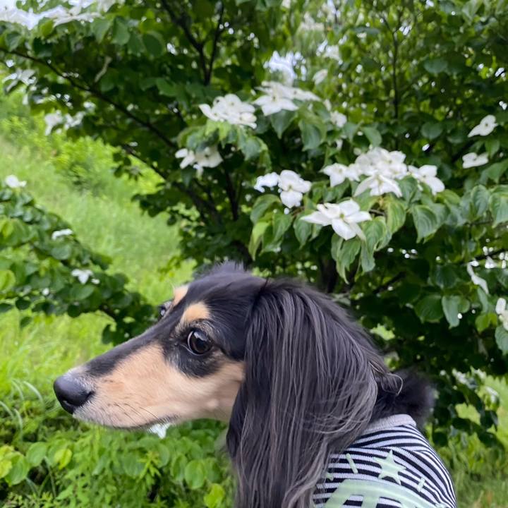 8257ecdc cc92 4684 be21 21bcab9194cf 1747625294311