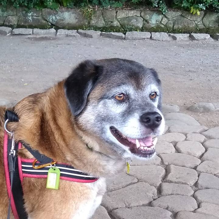 8257fbf8 9ac2 4fae 821a c703661a1cad 1559695842995