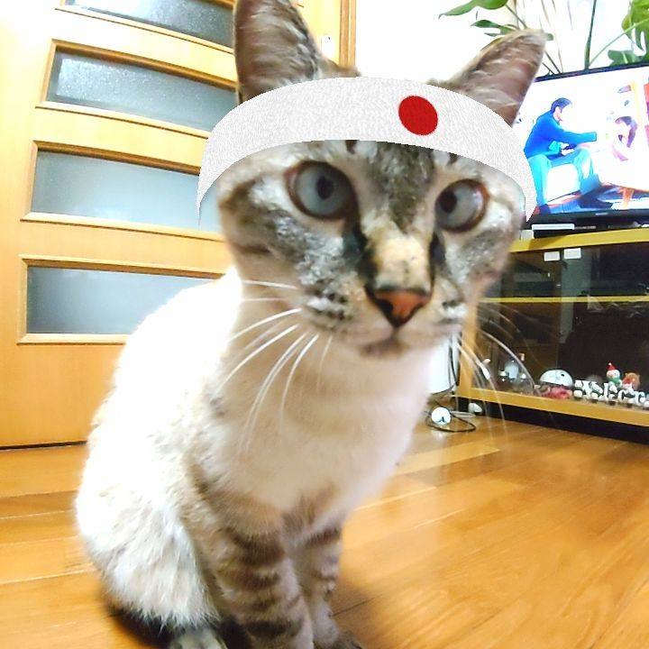 825844e3 810c 4382 86a4 af894fb2cbb2 1628078752469