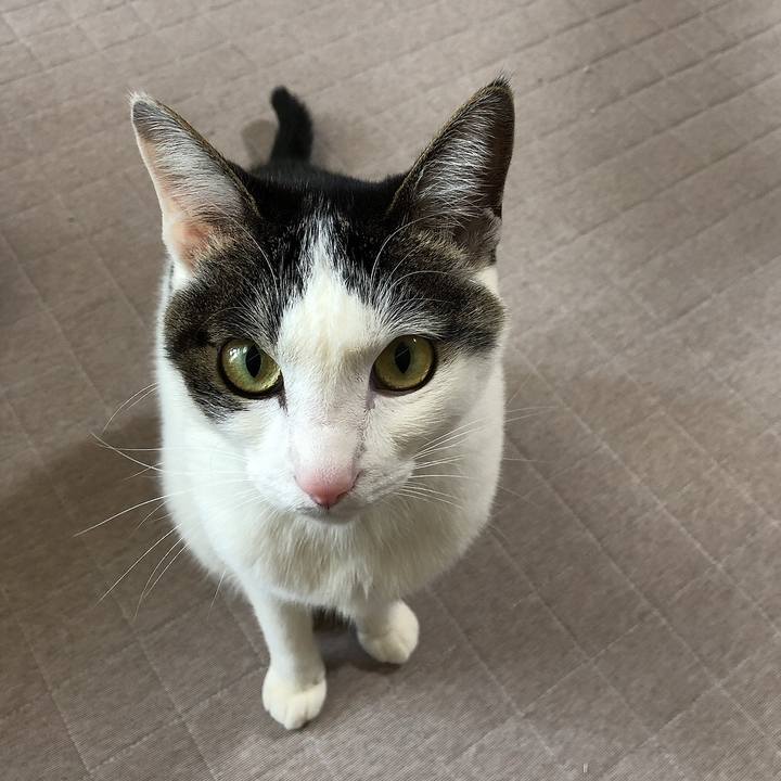 82585427 4999 4875 bd2b dccd4a0c2887 1646528502118