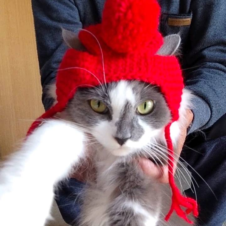 82585971 6b1f 452d 852e e95f1f1600ad 1667096406475