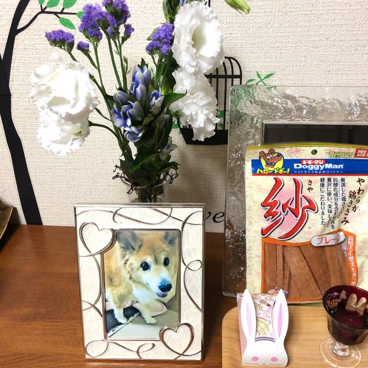 825879ad a81c 4f4c a21a a74020cb0209 1600941363421