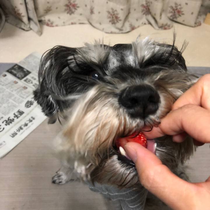 8258a0f0 626a 4f74 8995 871138367069 1619439906443