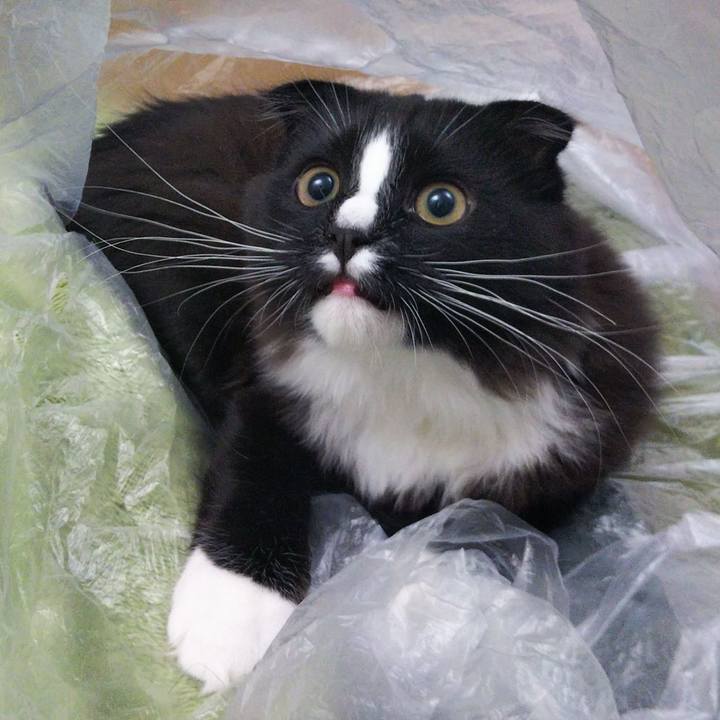 8258a727 c35b 4300 b2d7 9ec004b46944 1644838774522