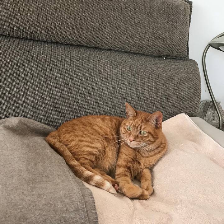 8258b2c9 695a 487c b442 237b03091942 1514262473310