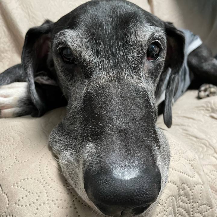 8258f609 6f4a 42a2 8a1b 159fea3f07ff 1634078923371