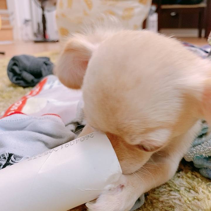 8258f66a 9339 4f72 94e2 049edd0c3984 1595044180219