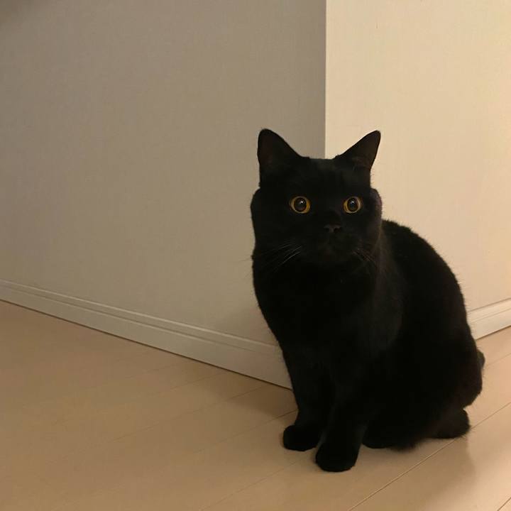 825915db ec07 44df 94a1 90be64cce235 1672667378330