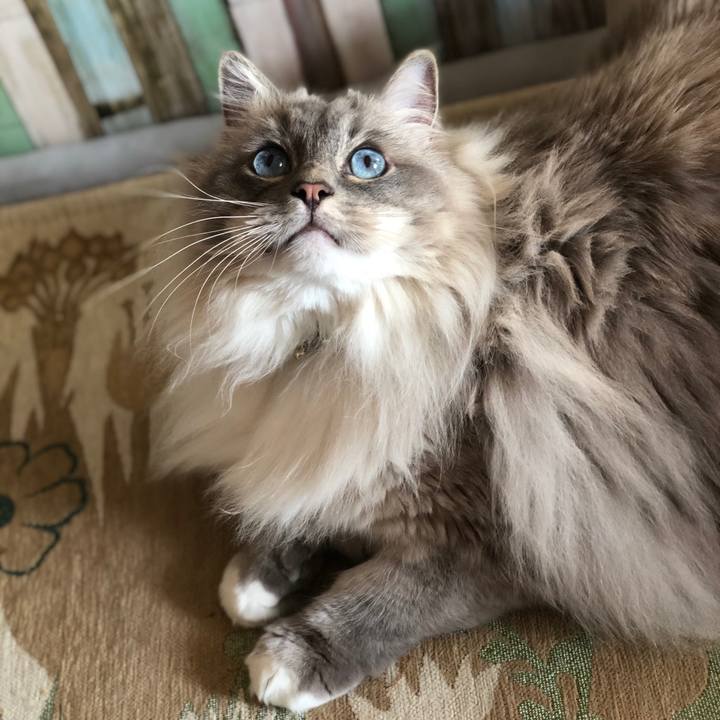 82597fe5 76d4 4cdb 949f 02683cf2c19b 1551621198471