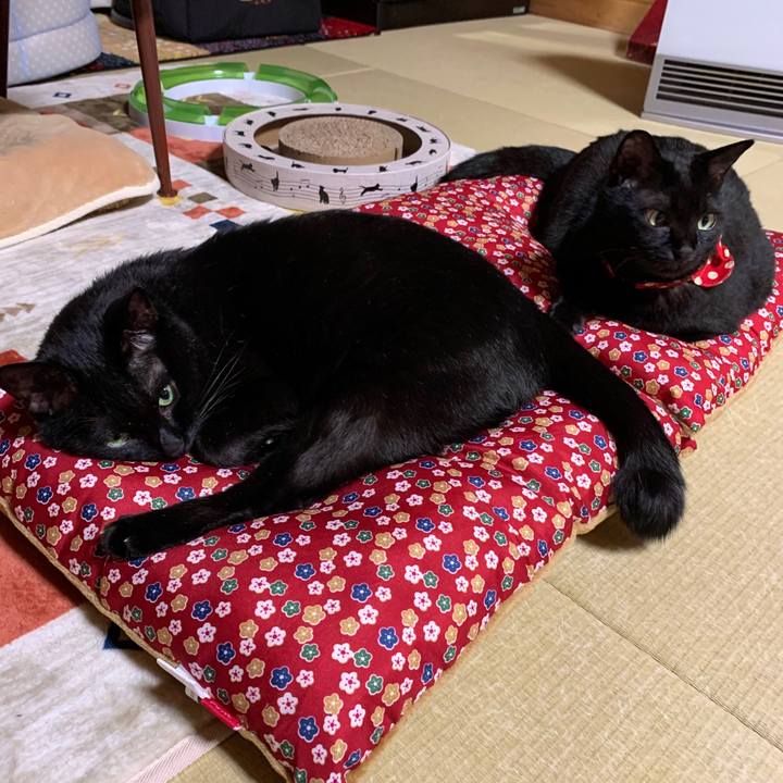 825984e2 04d9 456f 8c8a 540c344c87c1 1573304663717