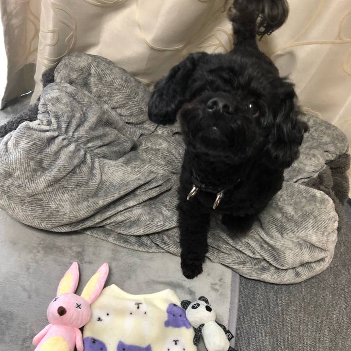 8259c144 4420 4ff9 97e7 77b060afdb6e 1606531236822