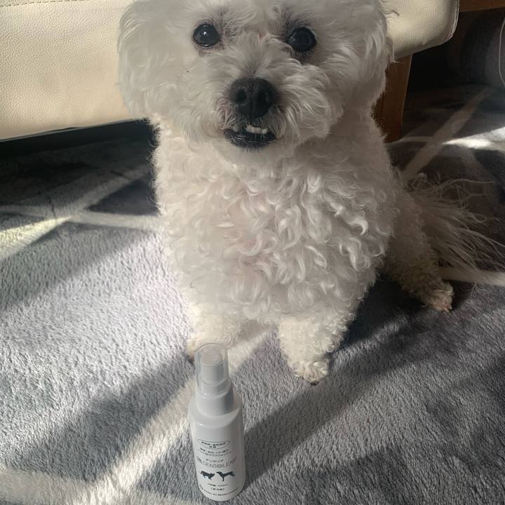 8259fc70 9d64 4090 9775 a66d4386e276 1675127091721