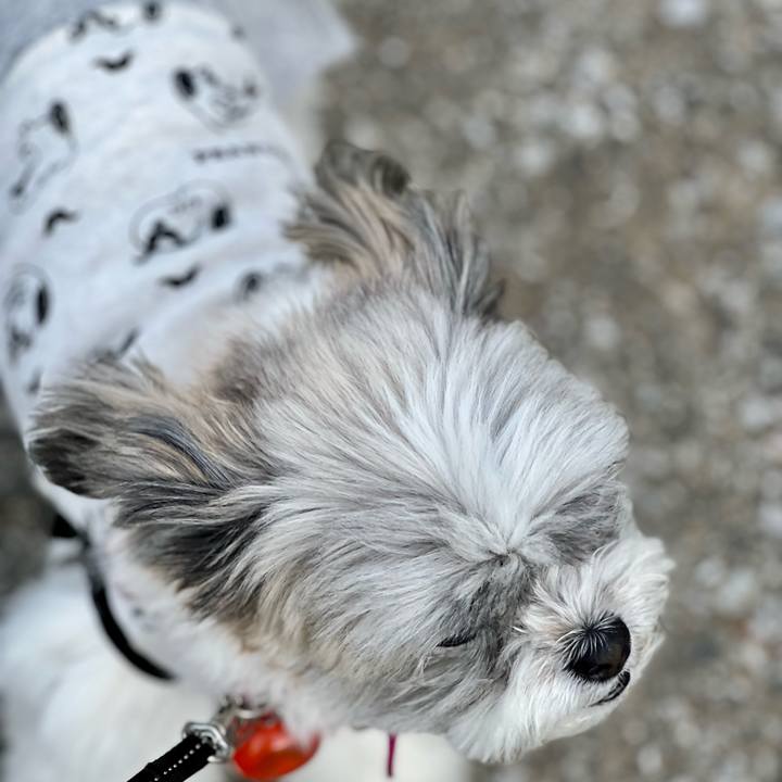 825a14c2 dc5a 4ddc b762 2bb72bf47a9f 1683341082591