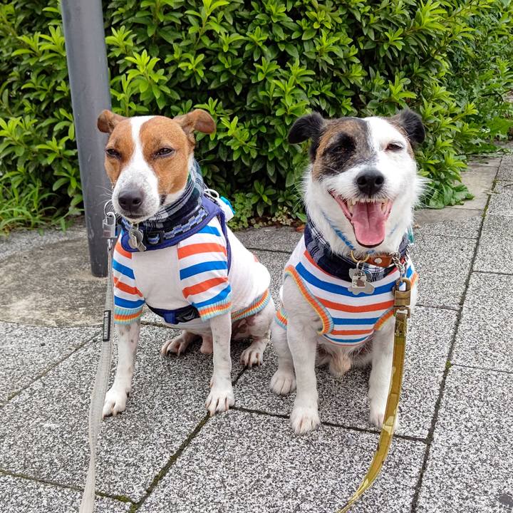 825a274c f185 4358 841b 435434d1696c 1626128245202