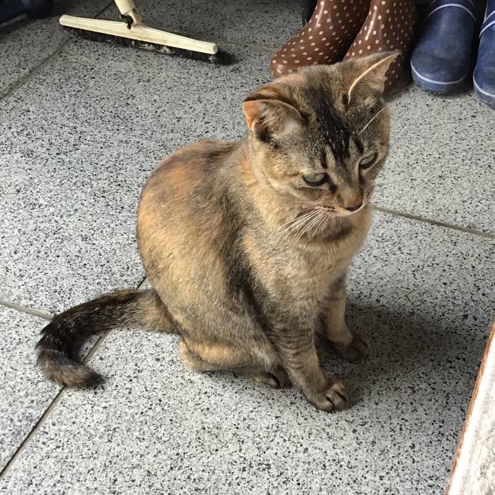 825a7e5f 548d 453e 9d4c dca52e732be5 1592291703714