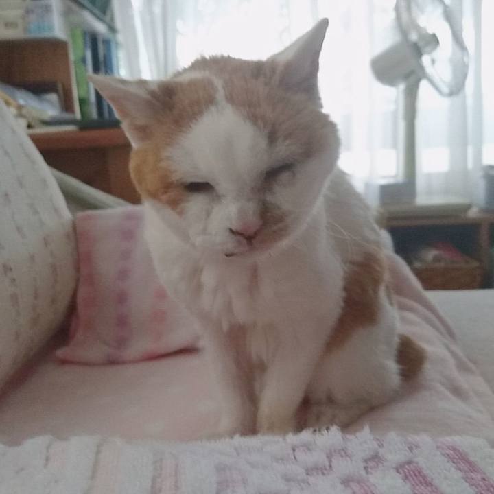 825a7f76 908b 4731 9ed5 c9929e45d69f 1644107670774