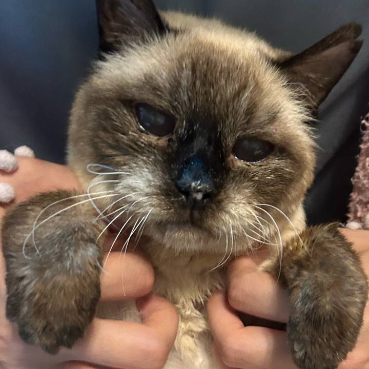 825aa76f 0a60 4c60 9a49 4b9643c0682d 1715166523974