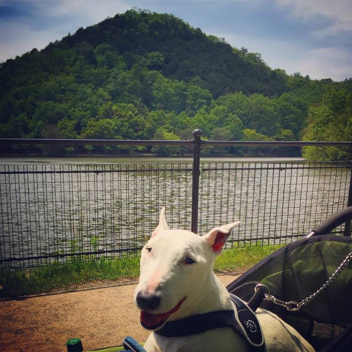 825b9f56 0d55 47cf b71a 6523b1c26849 1526400371280