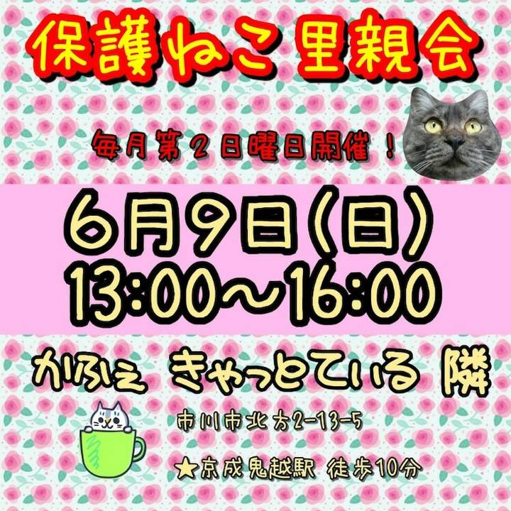 825ba510 6ac9 43d7 ae5b 4538cf5a4218 1559961932268