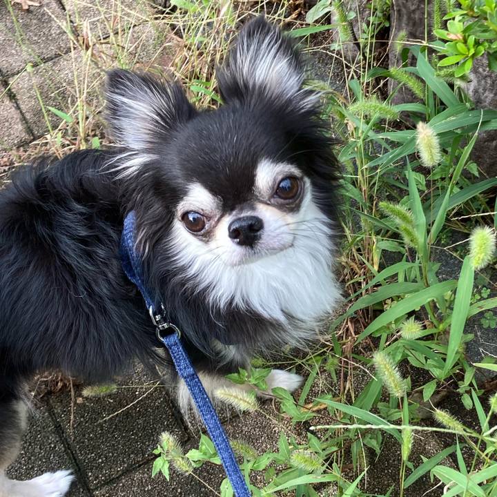 825be136 7eaf 437f 81de c10fe59cc71f 1664083009727