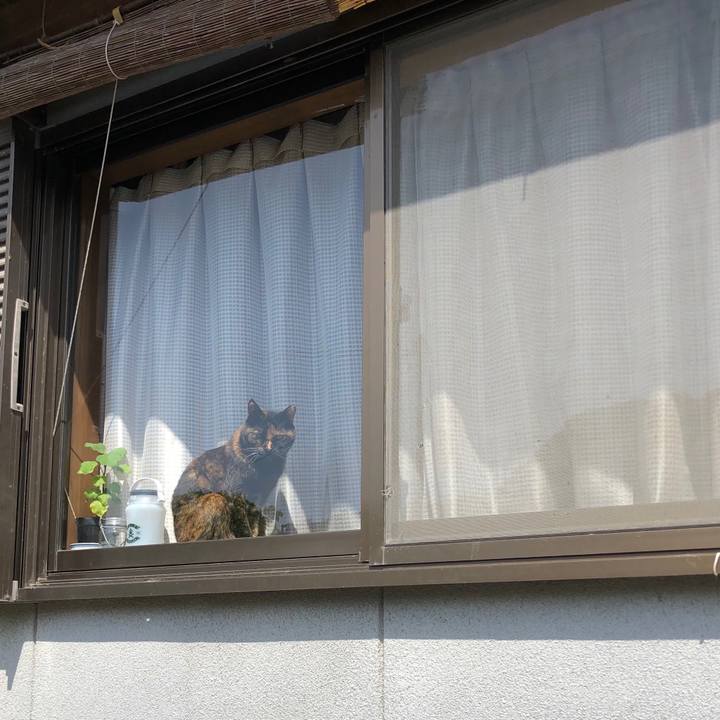 825bf478 483f 4b4c b49b 19ef23b4fcc8 1618732659297