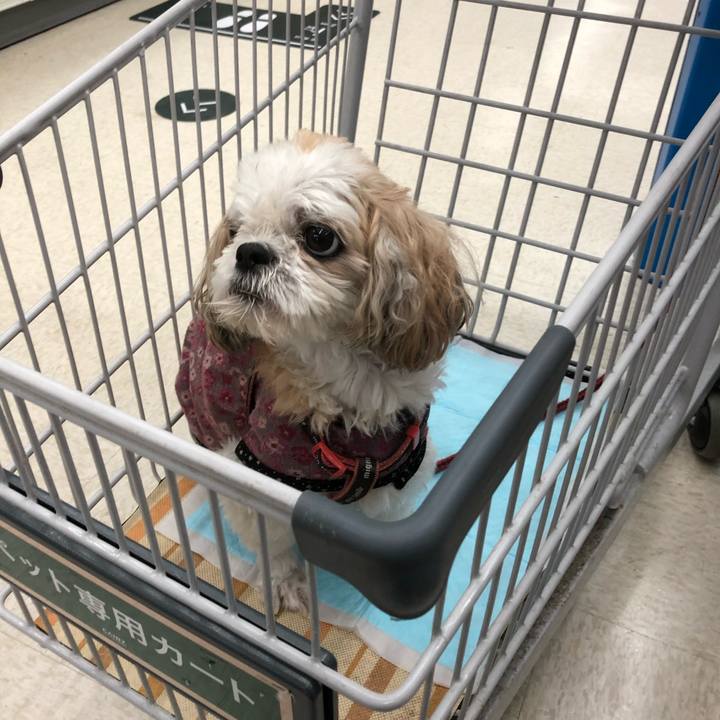 825bf8d3 2655 4188 8455 1520c423cf2d 1635112126667