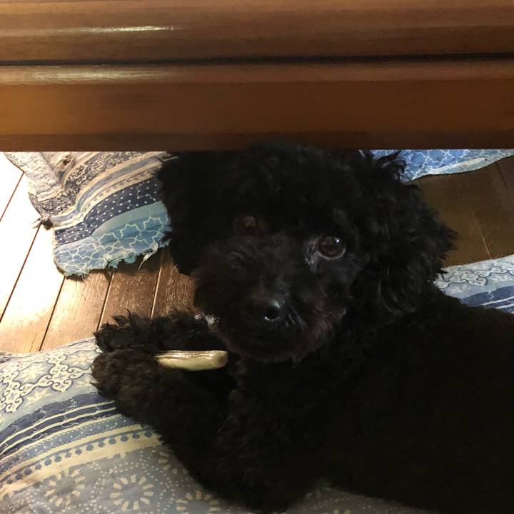 825c0a70 ae62 4259 8040 05da76b4ce26 1509632183284